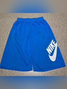 Boys Nike Sb Shorts Size Xl